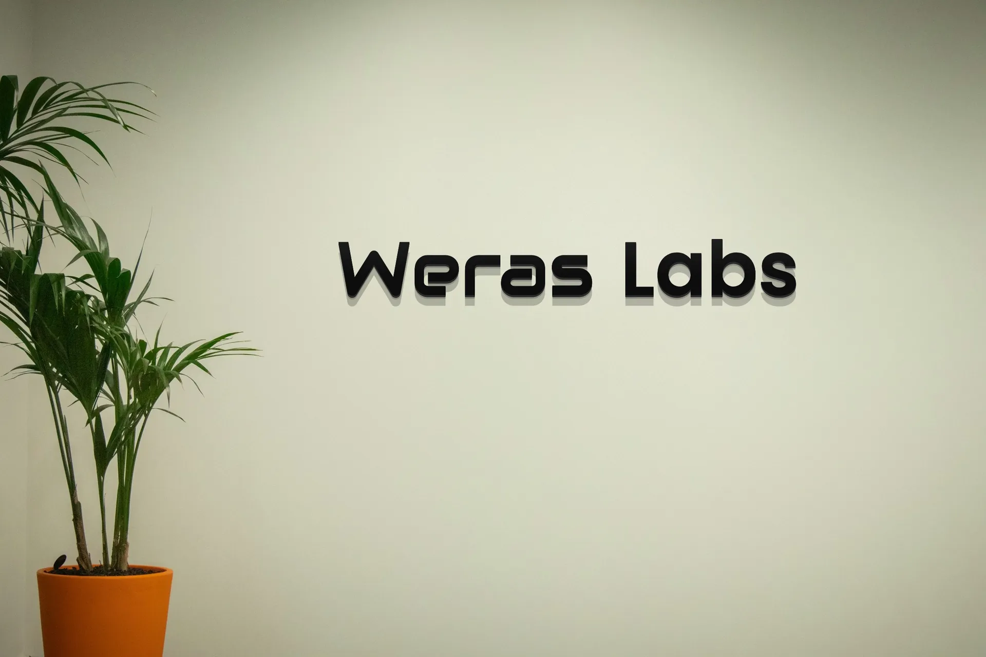 Ofis duvarında üç boyutlu Weras Labs logosu