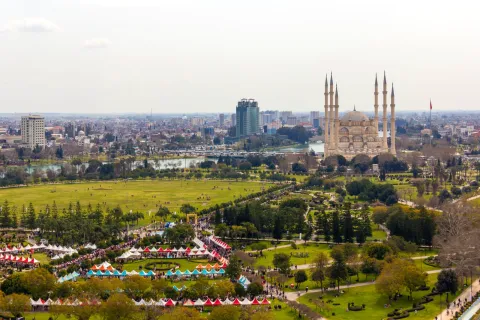 Adana web tasarım