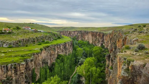 Aksaray web tasarım