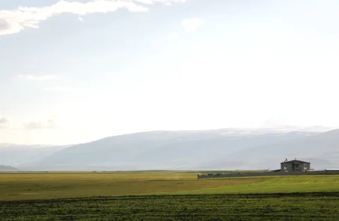 Ardahan web tasarım