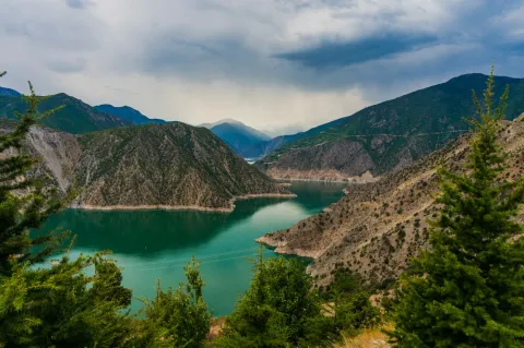 Artvin web tasarım