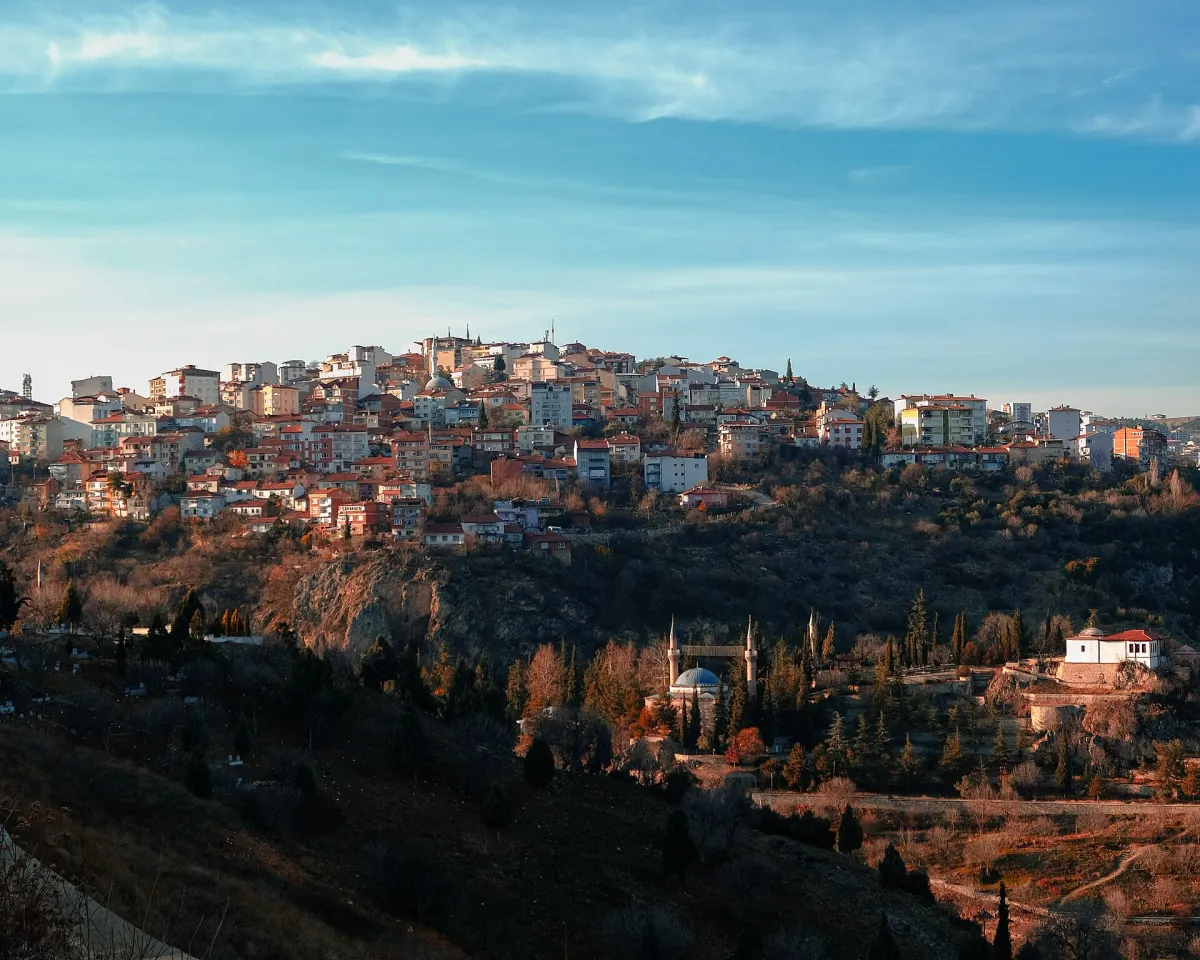 Bilecik web tasarım – Bilecik şehir panoraması