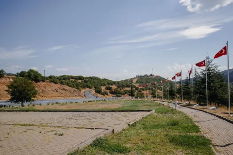Bingöl web tasarım