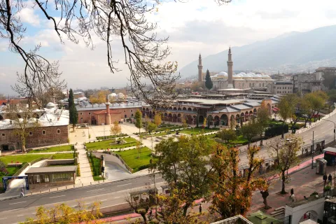 Bursa web tasarım