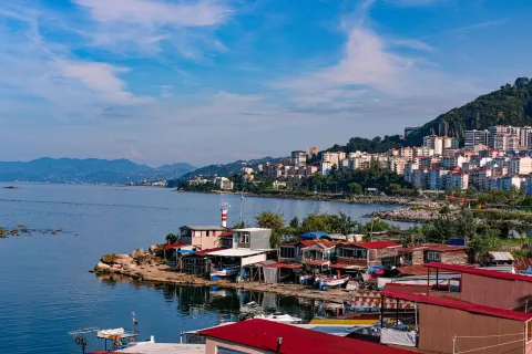 Giresun web tasarım