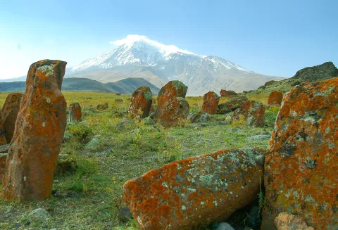 Iğdır web tasarım
