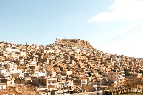 Mardin web tasarım
