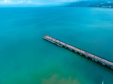 Ordu web tasarım