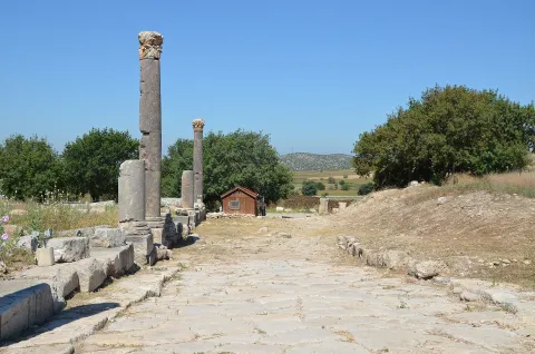 Osmaniye web tasarım
