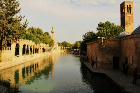 Şanlıurfa web tasarım