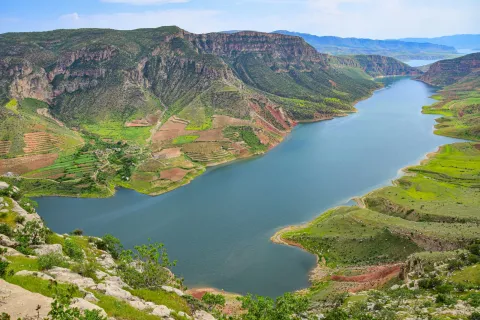 Siirt web tasarım