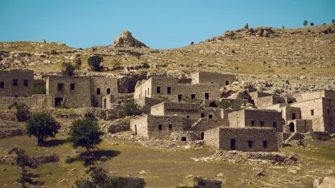 Şırnak web tasarım