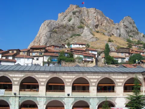 Tokat web tasarım