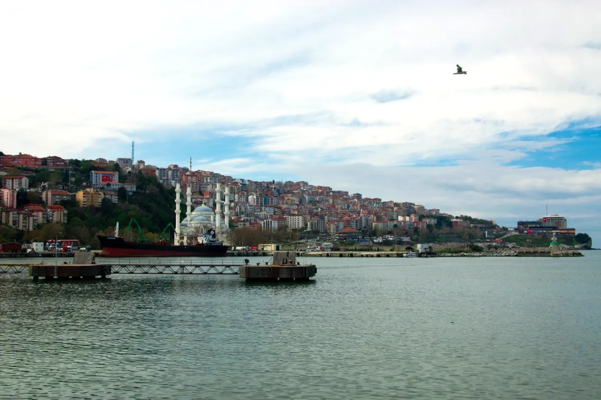 Zonguldak web tasarım – Zonguldak sahili ve şehir