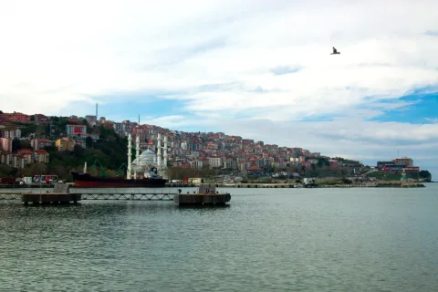 Zonguldak web tasarım
