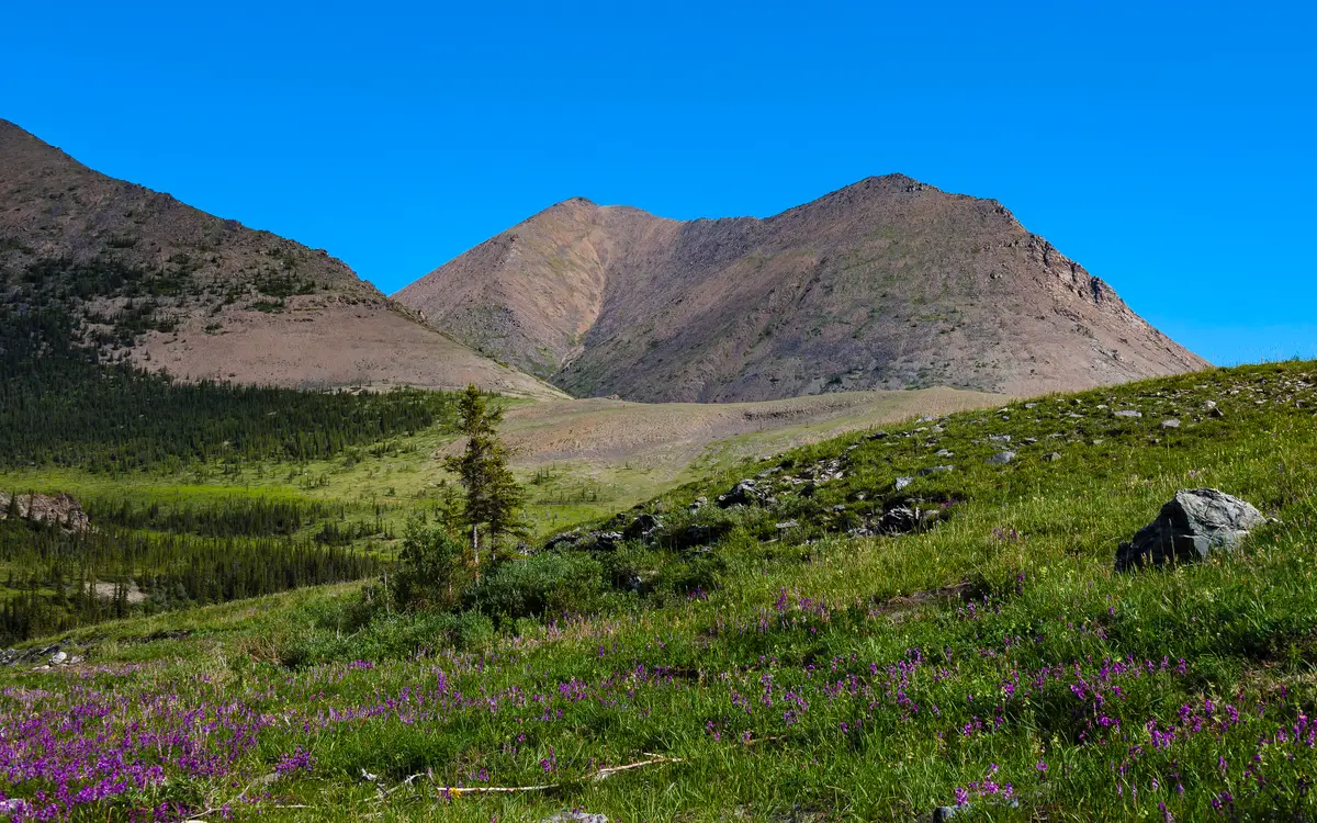 Web design in Canada: A peak at the eastern end of the British Mountains in Canada's Ivvavik National Park, seen from near the Firth River