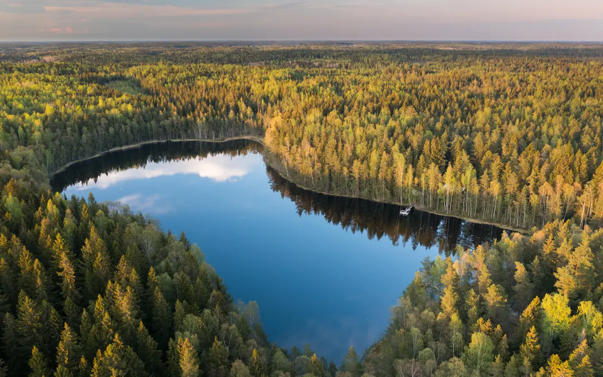 Web design in Finland: Aerial view of Bisajärvi in evening light from the southwest in Sipoonkorpi, Vantaa, Finland in 2021 May.