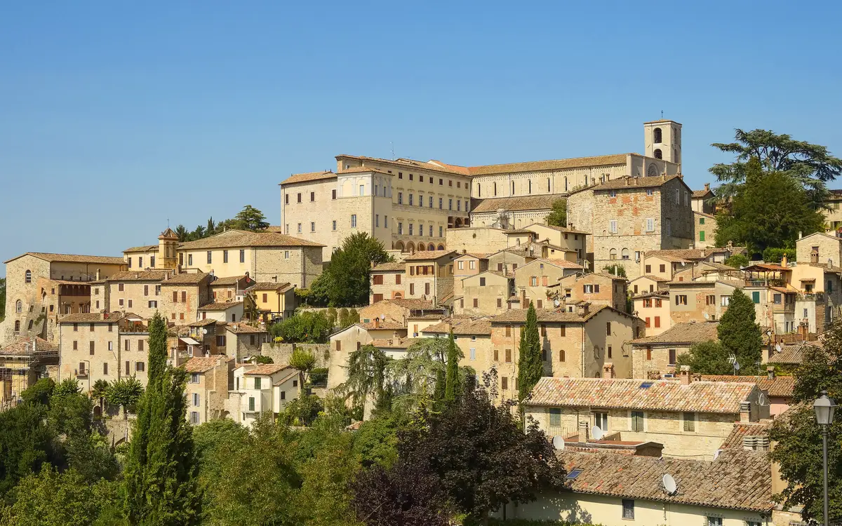 Web design in Kentucky: Todi panorama