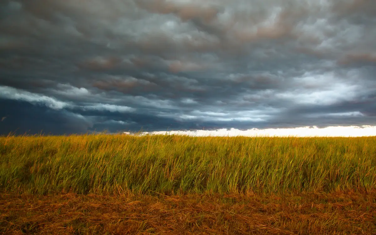 Web design in Nebraska: Nebraska landscape