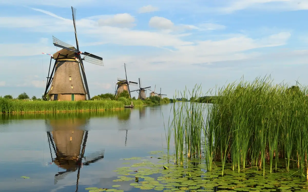 Web design in Netherlands: Netherlands landscape