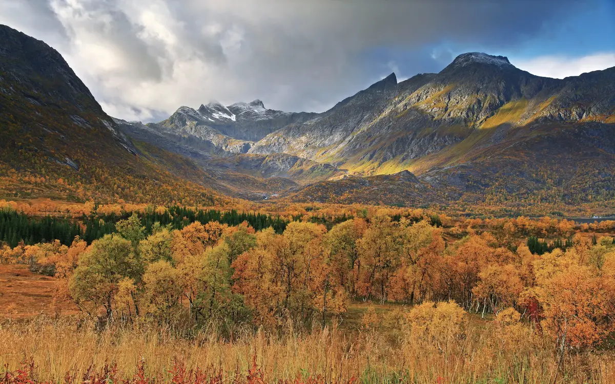 Web design in Norway: An autumn view near Gullesfjordbotn in the island of Hinnøya, Kvæfjord, Troms, Norway in 2010 September.