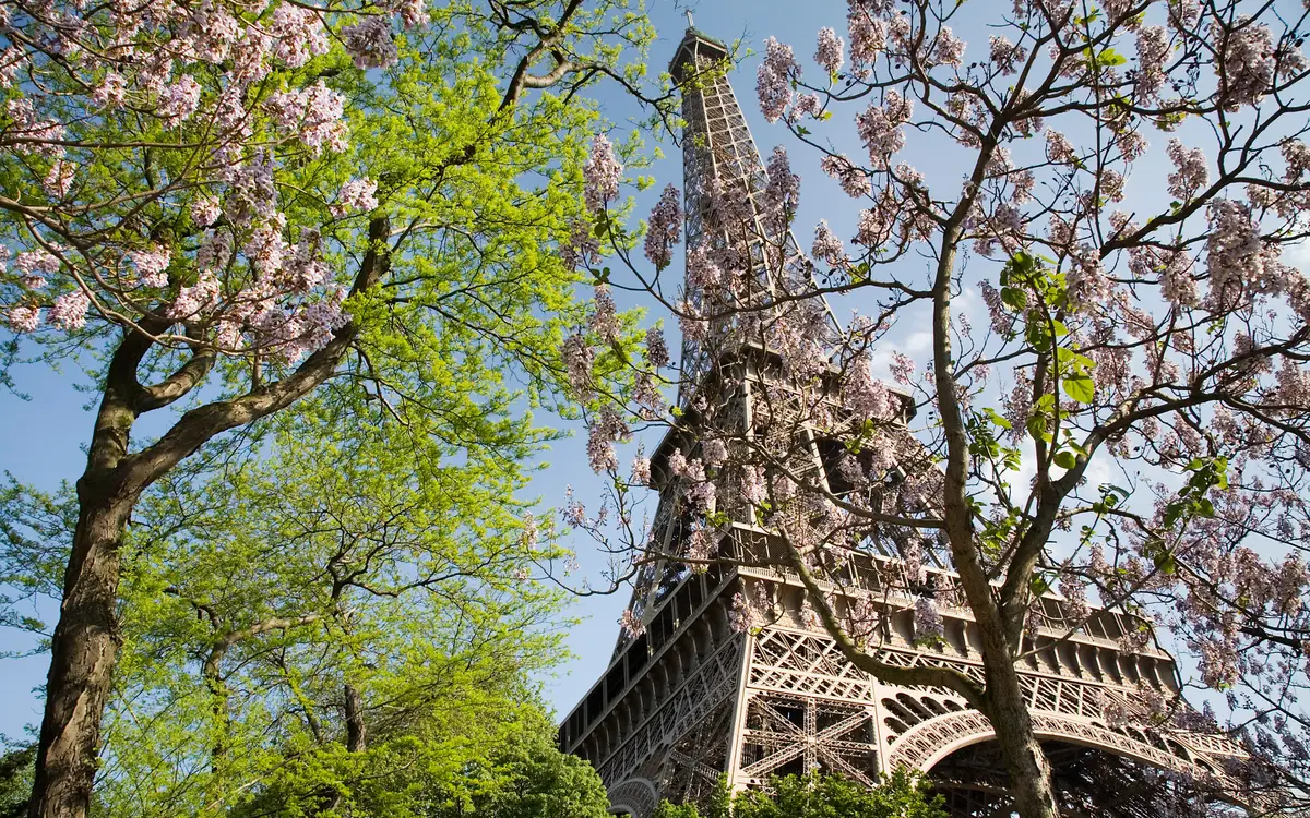 Web design in Paris: The Eiffel Tower in spring, Paris, France.