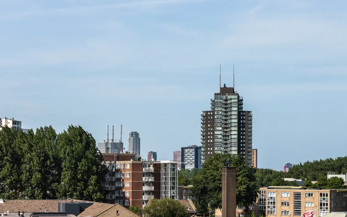 Web design in Rotterdam: Waalhaven in Rotterdam. View of the tower block towards Sluisjesdijk Rotterdam.