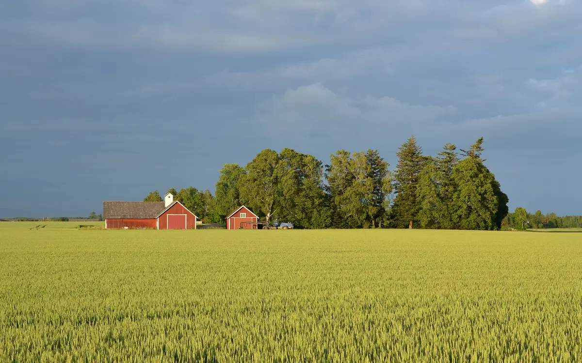 Web design in Sweden: Swedish landscape near Mjölby