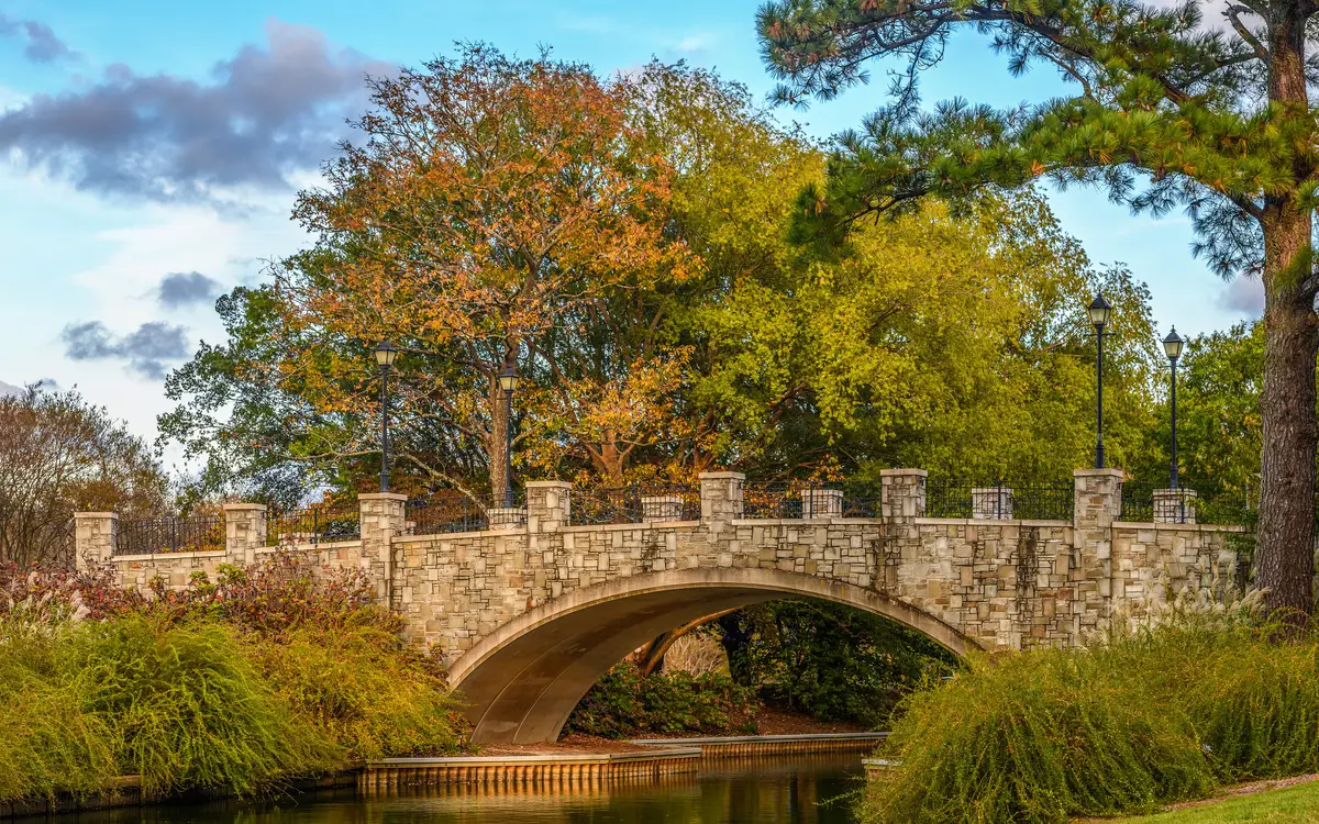 Web design in Virginia: Virginia landscape